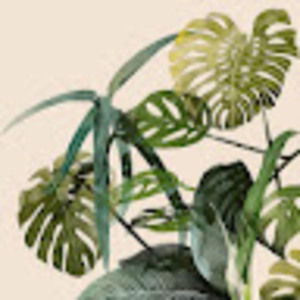 Meet your Posher, Alexa